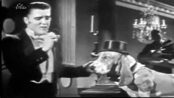 elvis presley singing to a hound dog on steve allen show